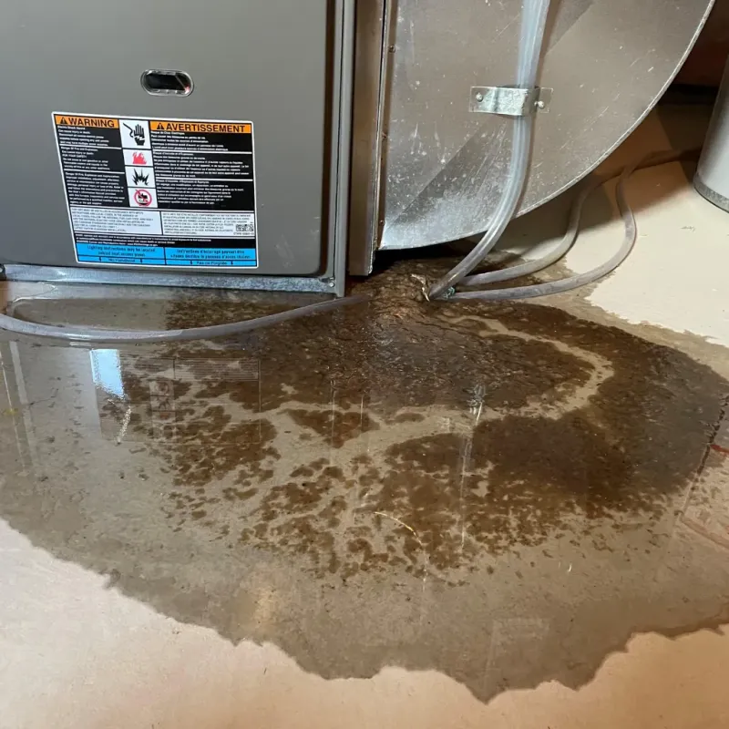 Appliance Leak Cleanup in White House, TN