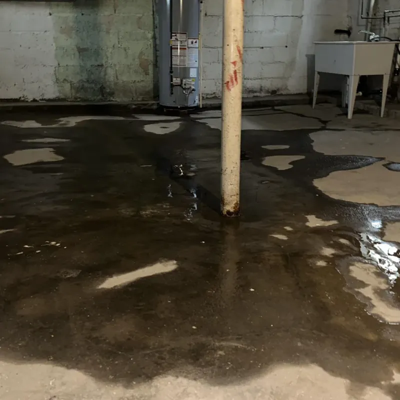 Emergency Water Extraction And Removal in White House, TN